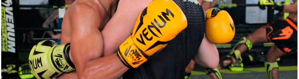 Guantes (Kickboxing, Thai, MMA, Boxeo)